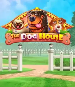 From Pragmatic Play comes The Dog House Slot, bringing you a delightful experience through lovable dogs. Engage in gameplay elements such as sticky wilds, designed for providing exciting wins. Ideal for animal enthusiasts an amusing theme and the opportunity to win big.